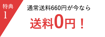 特典1　通常送料660円が今なら送料0円！